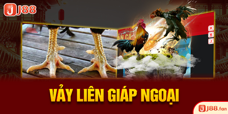 Vảy liên giáp ngoại