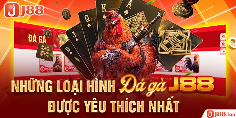 Những loại hình đá gà J88 được yêu thích nhất