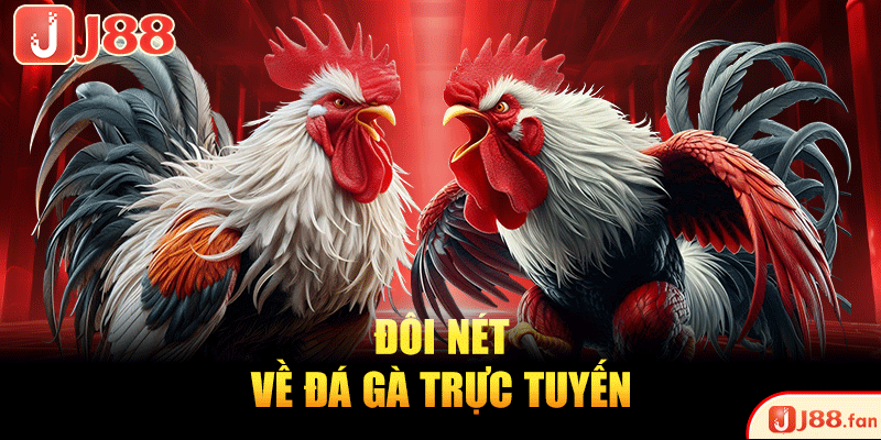 Đôi nét về đá gà trực tuyến